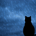 grieving cat