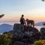 Practicing Animal Reiki