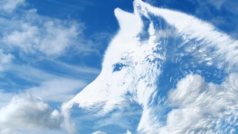 Animal Spirit Guide