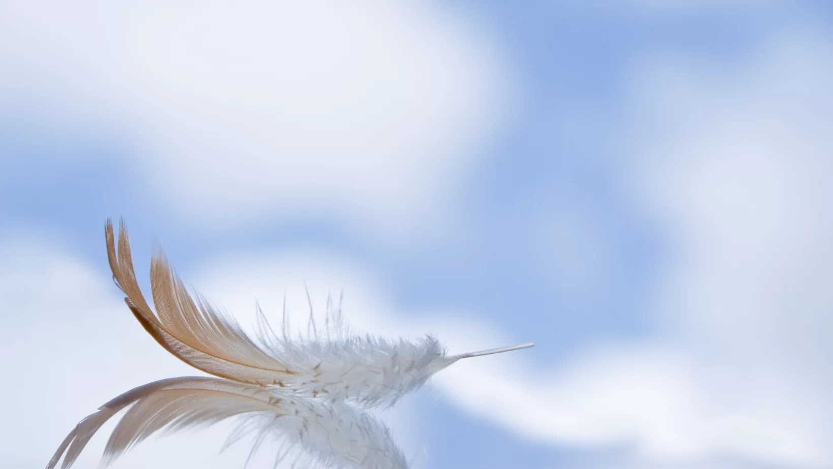 IntuitiveHealing
