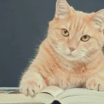quantum cat