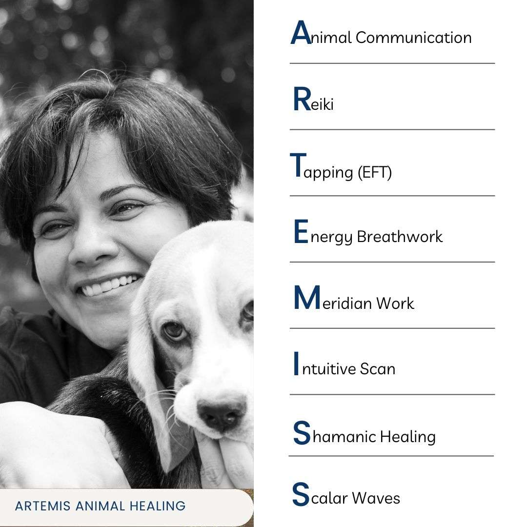 The ARTEMIS healing method