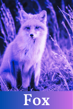 Fox Spirit Guide Card